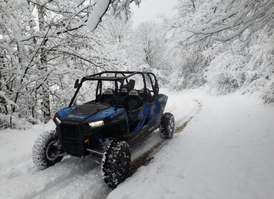 From Smolyan: Private Buggy Ride in Pamporovo Ski Resort