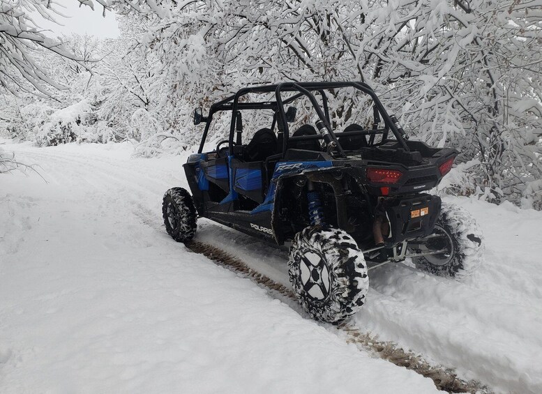 Picture 7 for Activity From Smolyan: Private Buggy Ride in Pamporovo Ski Resort