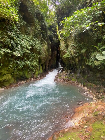 Picture 3 for Activity El Santuario Waterfall Hike