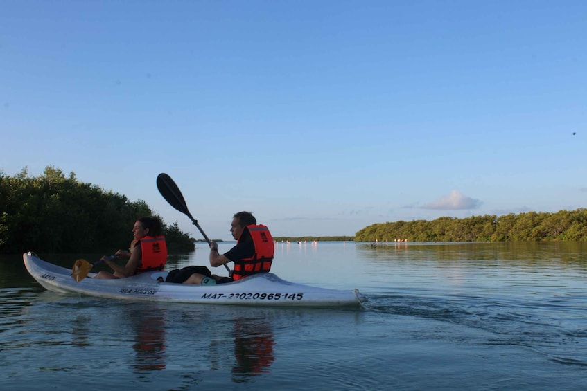 Picture 2 for Activity Holbox: Guided Sunrise Kayak Tour through Mangrove Reserve