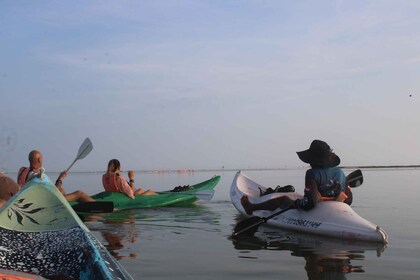 Holbox: Guided Sunrise Kayak Tour through Mangrove Reserve