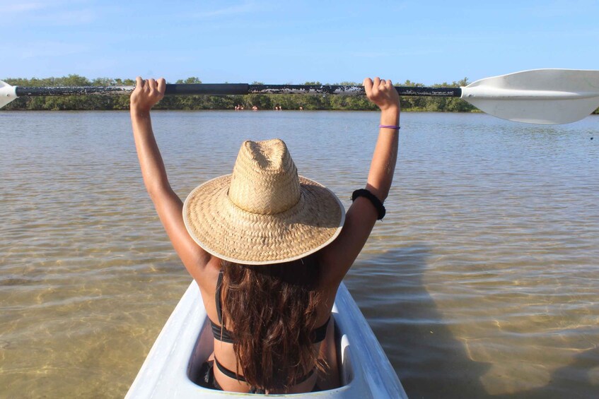 Picture 4 for Activity Holbox: Guided Sunrise Kayak Tour through Mangrove Reserve