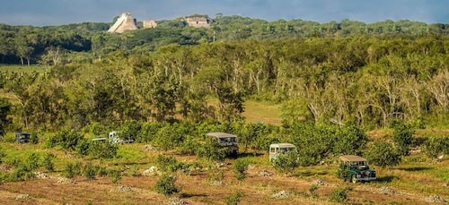 Mérida : Expédition safari dans les plantations d'Uxmal