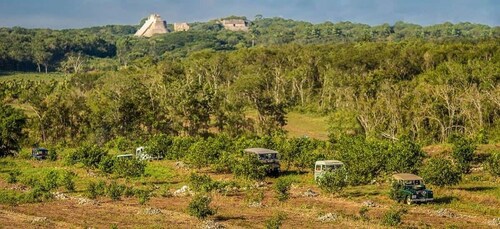 Mérida : Expédition safari dans les plantations d'Uxmal