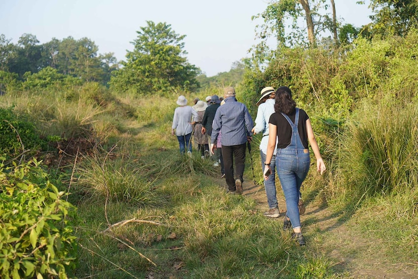 Picture 4 for Activity Chitwan Tower Night Stay, The best Chitwan Safari Experience