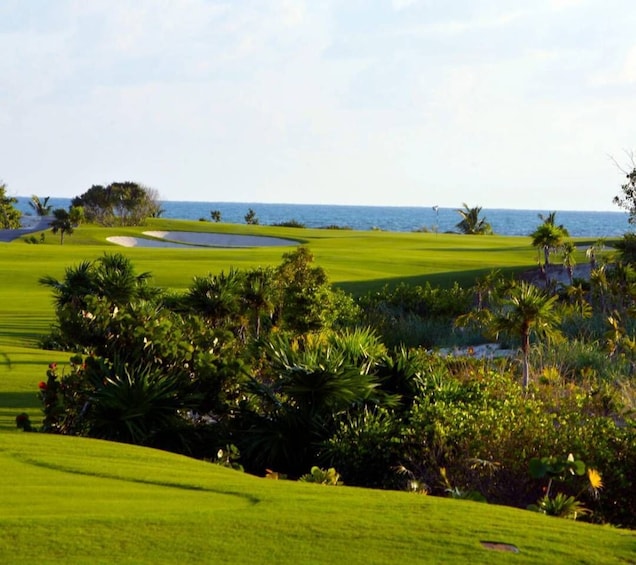 Picture 3 for Activity Playa Mujeres Golf Course