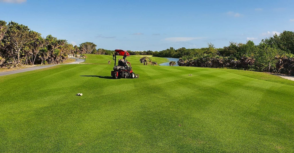 Picture 2 for Activity Playa Mujeres Golf Course