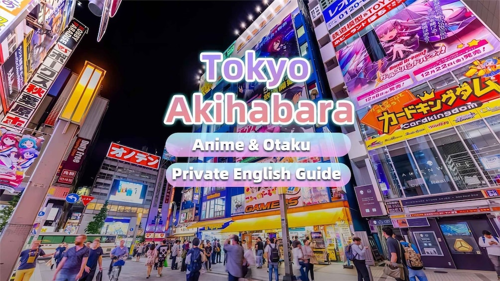 Tokyo: Anime&Otaku Private Tour with Expert English Guide