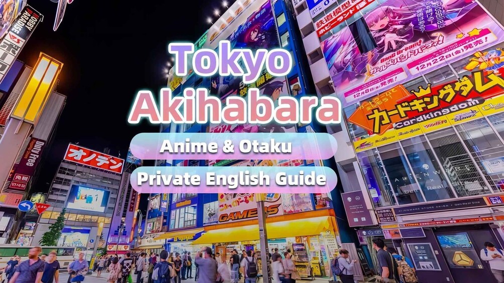 Tokyo: Anime&Otaku Private Tour with Expert English Guide