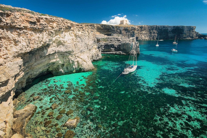 Picture 7 for Activity From Sliema: Gozo, Comino & The Blue Lagoon Boat & Bus Tour