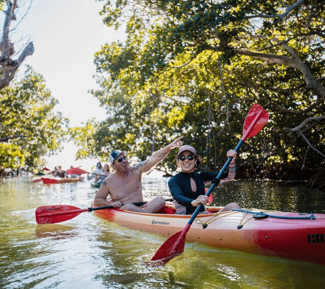 Picture 4 for Activity Key West Morning Sail, Snorkel & Kayak Excursion