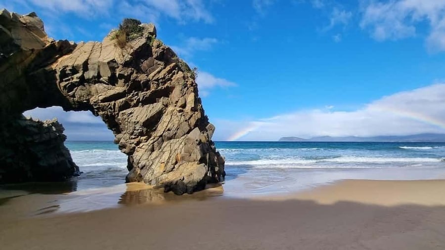 Picture 16 for Activity From Hobart: Bruny Island Adventure Day Tour