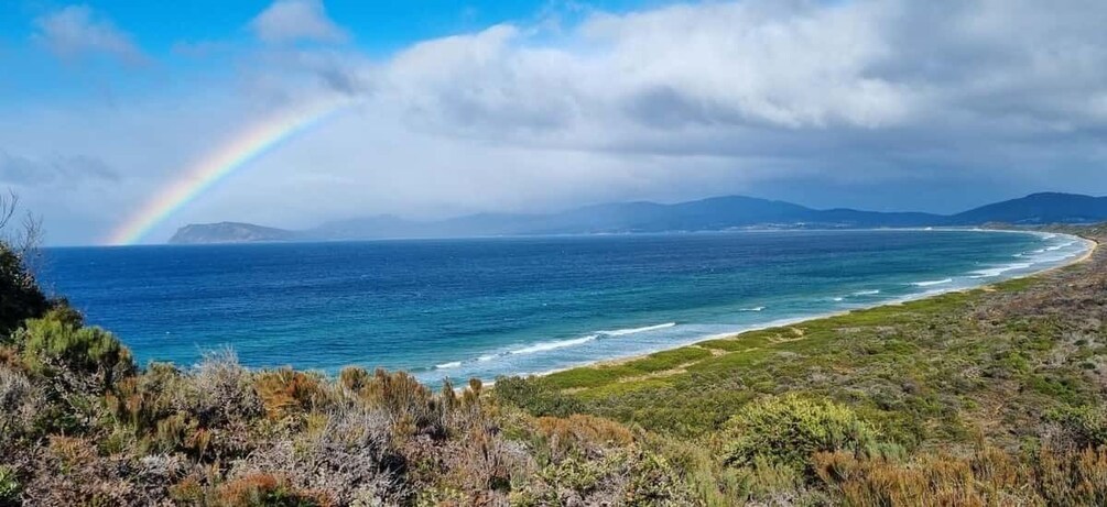 Picture 8 for Activity From Hobart: Bruny Island Adventure active day tour