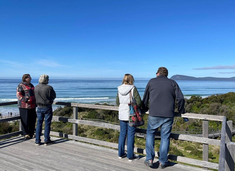 Picture 24 for Activity From Hobart: Bruny Island Adventure active day tour