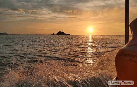 Huatulco: Delfinbeobachtung bei Sonnenaufgang mit Strandbesuch