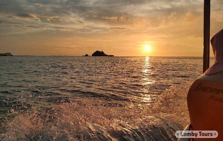 Huatulco: Sunrise Dolphin Watching with Beach Visit