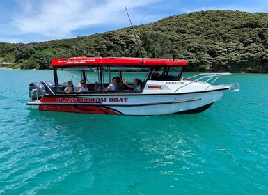 Paihia: recorrido en barco con fondo de cristal hasta el agujero en la roca