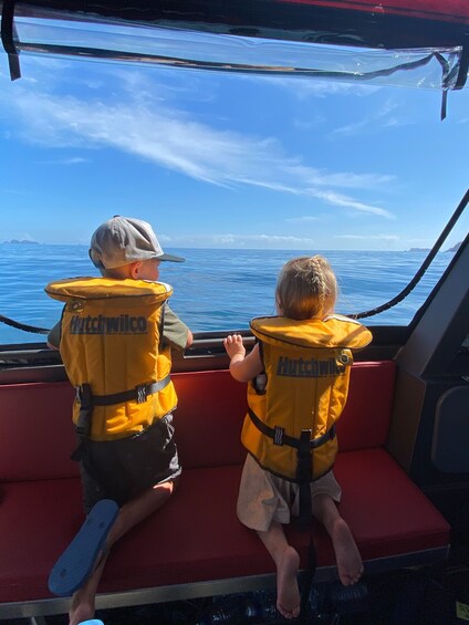 Picture 5 for Activity Paihia: Glass Bottom Boat Tour to the Hole in the Rock