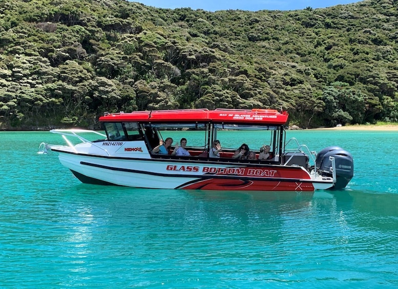 Picture 3 for Activity Paihia: Glass Bottom Boat Tour to the Hole in the Rock