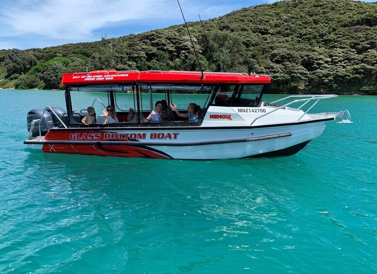 Paihia: Glass Bottom Boat Tour to the Hole in the Rock