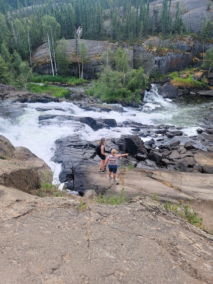 Picture 4 for Activity Cameron Falls Waterfall Tour