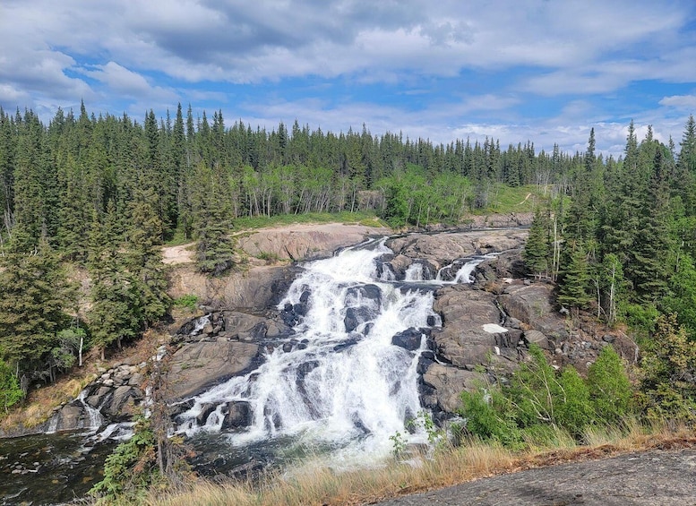 Picture 1 for Activity Cameron Falls Waterfall Tour