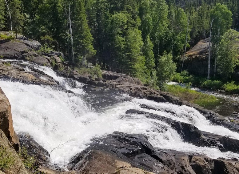 Cameron Falls Waterfall Tour