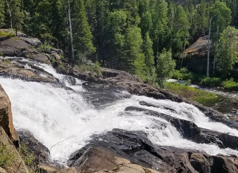 Cameron Falls Waterfall Tour