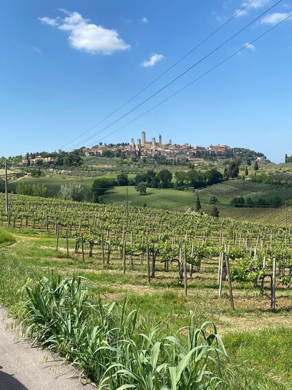 Picture 13 for Activity Siena and San Gimignano tour by shuttle from Lucca or Pisa