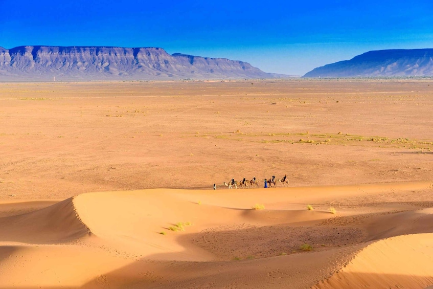 Picture 1 for Activity From Agadir or Taghazout: 2-Day Sahara Desert Tour to Zagora