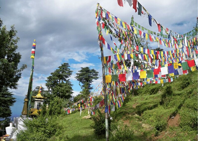 Picture 9 for Activity The Spiritual Trails of Dharamshala(Guided Walking Tour)