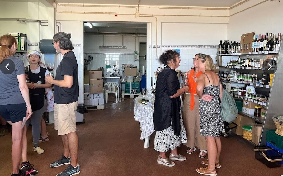 Picture 4 for Activity Tavira: Olive Experience with Factory Tour and Tasting