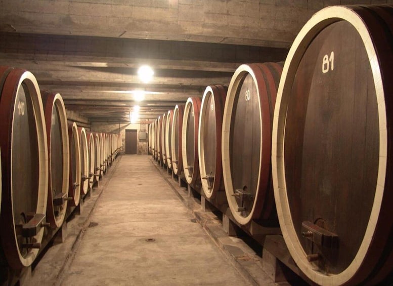 Picture 2 for Activity From Belgrade: Oplenac mausoleum Royal tour with winery