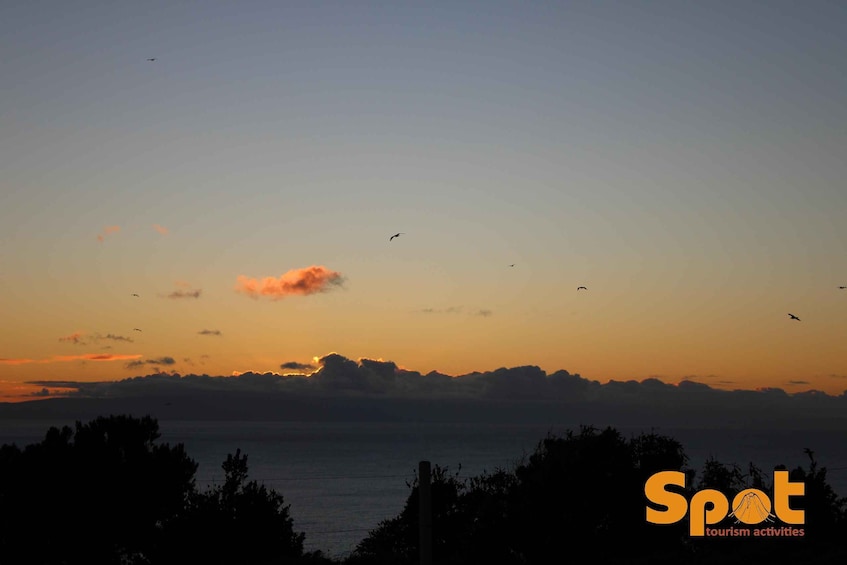 Picture 5 for Activity From Angra: Terceira Sunset with Local Products