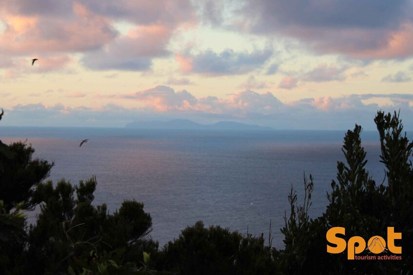 Picture 1 for Activity From Angra: Terceira Sunset with Local Products