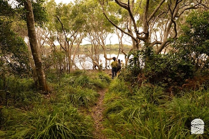 Byron Bay: Coastal Nature and Waterfall Experience