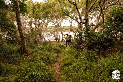 Byron Bay: Coastal Nature and Waterfall Experience