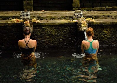 Tirta Empul: recorrido por el templo con limpieza espiritual opcional