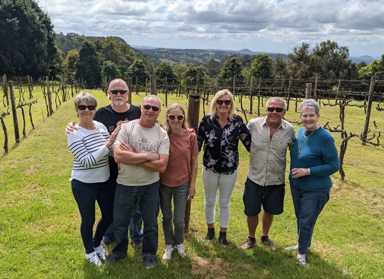 Picture 4 for Activity Sunshine Coast Hinterland Cheese, Wine, Food Tour