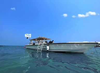 Snorkelling & Pool Day with BBQ & Overnight Stay in Fujairah