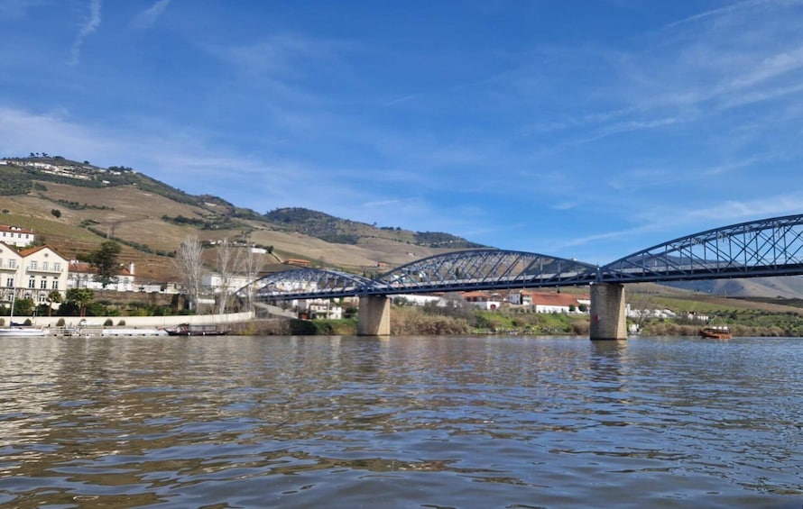 Picture 55 for Activity Porto: Douro Valley Wine Tour, Private Cruise & Winery Lunch