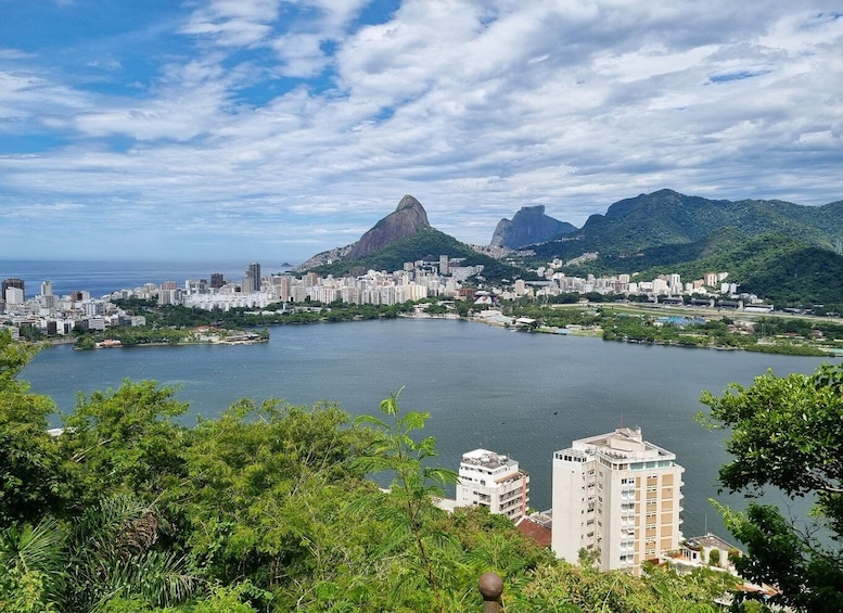 Picture 10 for Activity Rio de Janeiro: Zip Lining and Canopy Tree Tour