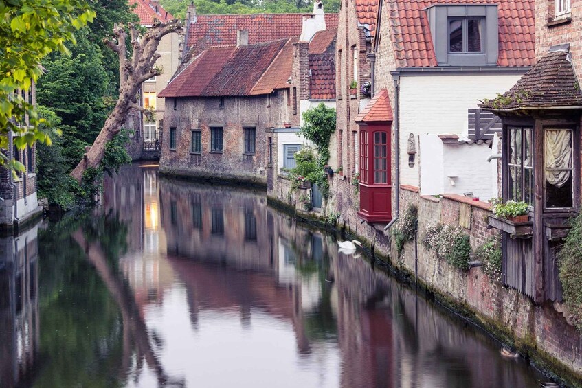 Picture 4 for Activity Bruges: Christmas Market Private Walking Tour