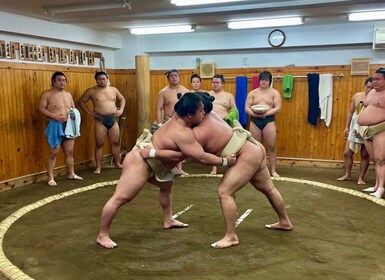 Tokyo: Sumo Wrestling Morning Practice with Live Commentary
