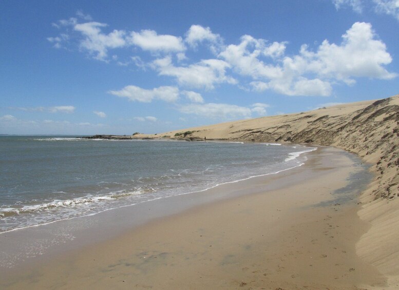 Picture 24 for Activity East Coast of Uruguay – Private Multi Day Tour