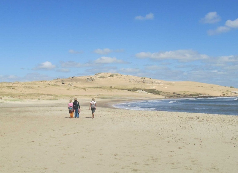 Picture 21 for Activity East Coast of Uruguay – Private Multi Day Tour