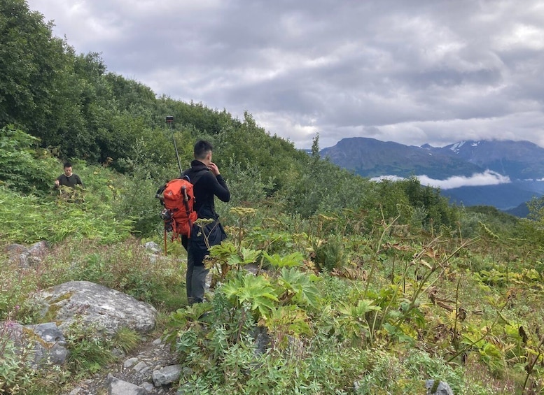 Picture 6 for Activity From Seward: 4-hour Wilderness Hiking Tour
