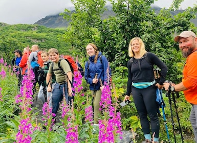 From Seward: 4-hour Wilderness Hiking Tour