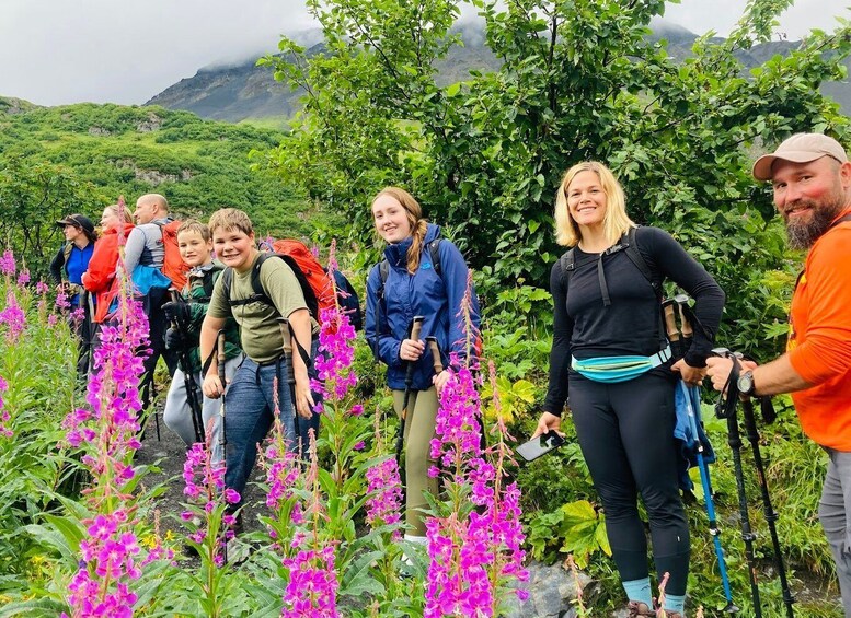 From Seward: 4-hour Wilderness Hiking Tour