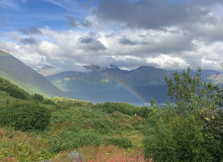 Picture 4 for Activity From Seward: 4-hour Wilderness Hiking Tour